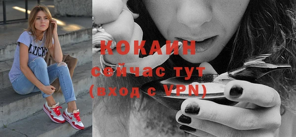 мдпв Липки
